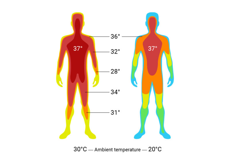 normal human body temperature